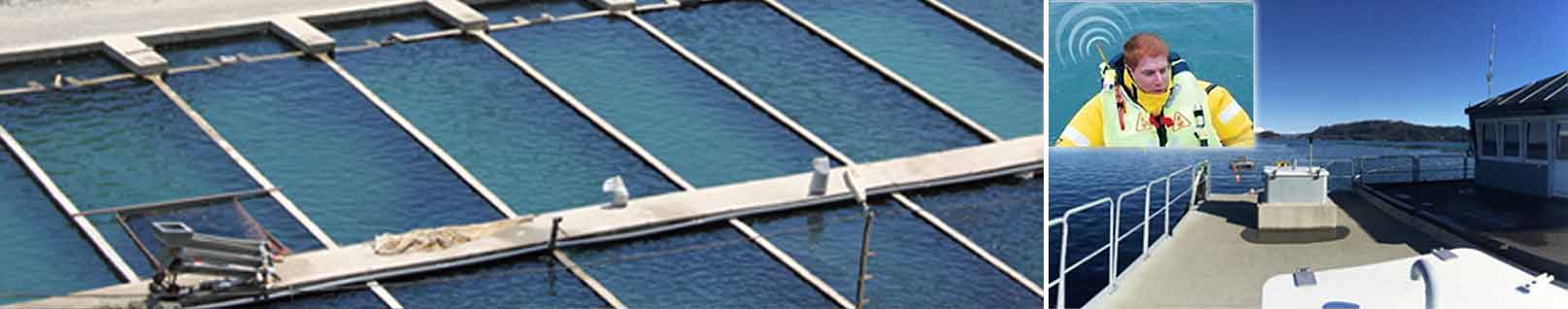 fish farms illustration up